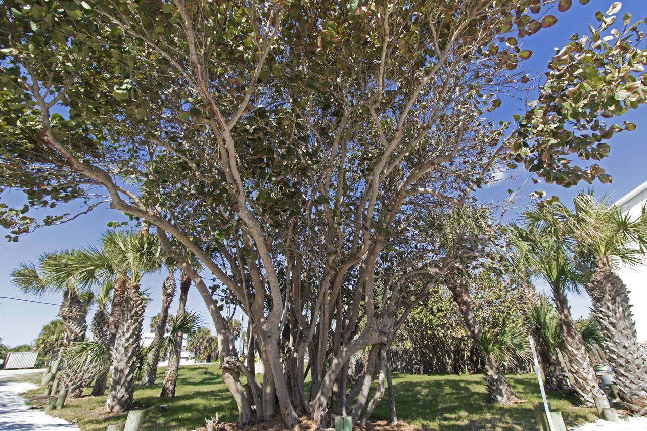מלבורן ביץ' Sea View Inn מראה חיצוני תמונה